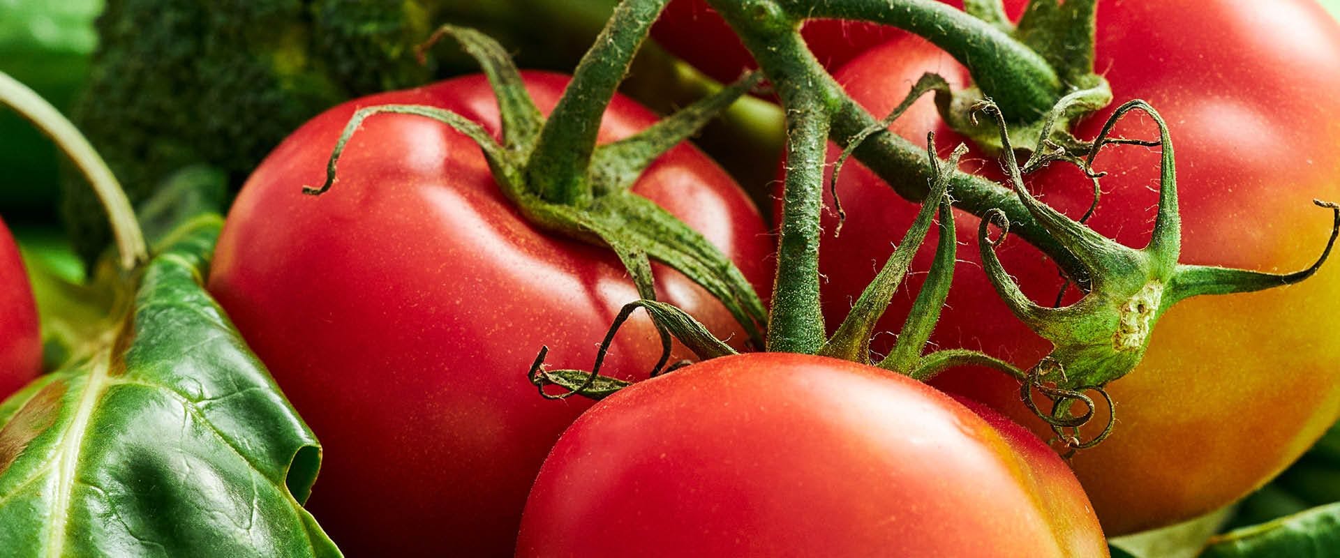 Hur förvarar man tomater på bästa sätt
